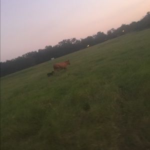 Meet your Posher, Mallory